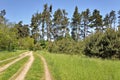 Double dirt road merges to one Royalty Free Stock Photo