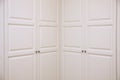 Double doors of large corner Cabinet