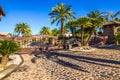 Double Electric Gates With Mature Palm Trees