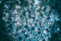 Double exposure and abstract image of trees at the forest and mosaic tiles. Royalty Free Stock Photo