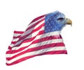 Double exposure of bald eagle on american flag. Royalty Free Stock Photo