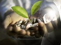 Double exposure of business man point the finger and money plant is growing coins in hand, growing money concept Royalty Free Stock Photo