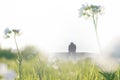 A double exposure of a close up of white flowers in a meadow, with a male hooded figure sitting on a bench, looking down in the