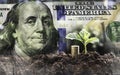 Double Exposure coins,young plant and dollar in finance,business concept