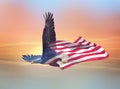 Double exposure effect of north american bald eagle on american flag Royalty Free Stock Photo