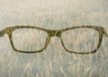 Double exposure of glasses with field full of ears of golden and green wheat.