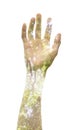 Double exposure of a hand and a tree, representing the power to