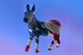 Double exposure image of the Democrat donkey and the american flag. In the USA politics  the donkey is the symbol of the democrats Royalty Free Stock Photo