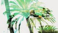 Double exposure image of tropic palms and old man sitting, memories of youth