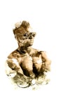 Double exposure man in glasses with naked torso isolated on a white background. The sports guy art illustration Royalty Free Stock Photo