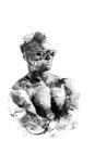 Double exposure man in glasses with naked torso isolated on a white background. The sports guy art illustration. Royalty Free Stock Photo