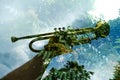 Double Exposure Nature Trumpet