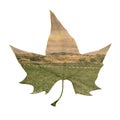 Double exposure of a platanus leaf and a natural landscape Royalty Free Stock Photo