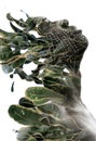 A double exposure portrait with surreal effect Royalty Free Stock Photo