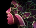 A double exposure portrait of a young woman`s profile against black background with colorful leaves Royalty Free Stock Photo