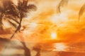 Background with palms and sunset on the beach Royalty Free Stock Photo