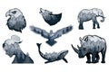 Double exposure set - elephant, rhinoceros, wolf, eagle, crows, whale, girl. Wildlife for your design, outdoors symbol.