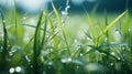 Double exposure shot of green grass in front of the mountains. Generated by artificial intelligence Royalty Free Stock Photo