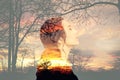 Double exposure of thoughtful woman and landscape with trees. Concept of inner power Royalty Free Stock Photo