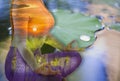 Double exposure - tranquility from yoga woman by meditation to purify mind,Lotus leaf background on the water,With concept of Royalty Free Stock Photo