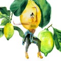 Double exposure of watercolor lemons with full-length portrait of beautiful dancing girl in green pants, lime top and yellow shoes Royalty Free Stock Photo