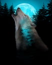 Double exposure wolf with forest and moon Royalty Free Stock Photo