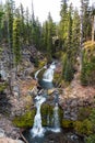 Double falls along Tumalo creek Royalty Free Stock Photo