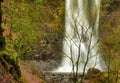 Double Falls in Silver Falls State Park Royalty Free Stock Photo