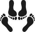 Double feet vector