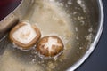 Double flavor hot pot mushroom soup Royalty Free Stock Photo