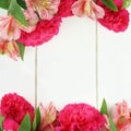 Double flower border on white wood Royalty Free Stock Photo