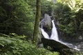 Double Forest Waterfall in Summer Royalty Free Stock Photo