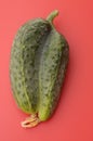 Double fresh cucumber over red background