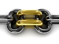 Double gold chain link. Royalty Free Stock Photo