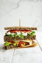 Superfood double big sandwich with avocado,tomatoes,cheese and lettuce on whole grain bread against a rustic wood background