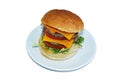 Overhead view of double hamburger with cheddar cheese served on plate