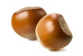 Double hazelnut composition isolated on white background Royalty Free Stock Photo