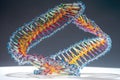 the double-helical structure of dna, with the base pairs visible