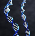 Double Helix Royalty Free Stock Photo