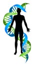 Double Helix DNA Chromosome Strand Human Figure Royalty Free Stock Photo