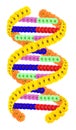 Double helix of a DNA molecule made of flowers isolated