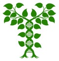 Double Helix DNA Plant Concept