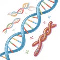 Double Helix Illustration DNA Structure, Genetic Code, Chromosome, Microbiology Genetics, Molecular Biology Royalty Free Stock Photo