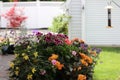 Double Impatiens, Begonias and Geraniums on a backyard patio table