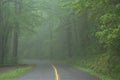 Double lane rural road leading into dark foggy summer forest