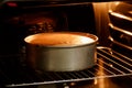 Double layer cake in hot oven