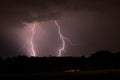 Double lightning strike behind a row of trees Royalty Free Stock Photo