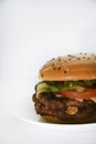 Double meat burger with vegetables on a white background. Delicious cheeseburger on a plate. Meat fast food. A large hamburger Royalty Free Stock Photo