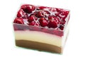 Double mousse red berry cake Royalty Free Stock Photo