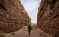 Double Negative land art installation by Michael Heizer Royalty Free Stock Photo